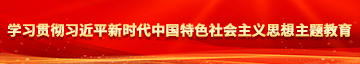 大鸡巴插骚穴20p学习贯彻习近平新时代中国特色社会主义思想主题教育